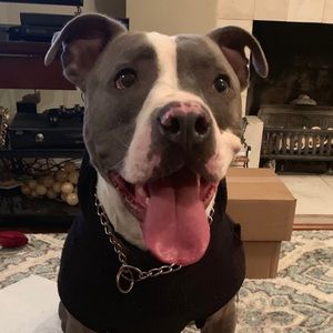 Meet your Posher, Angela